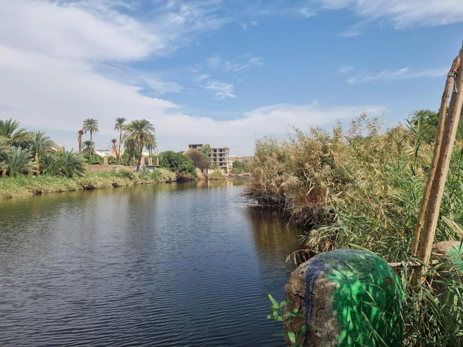Luxor Old Nile Hotel 객실 사진